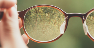Forest through glasses